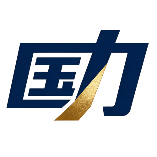 国力信息技术 Logo